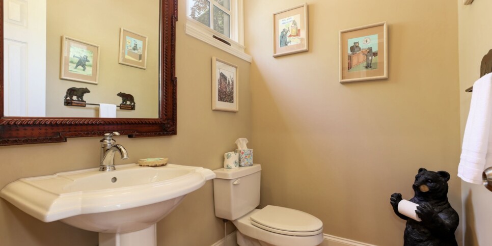 Big Canoe - Doctors Orders - Bathroom