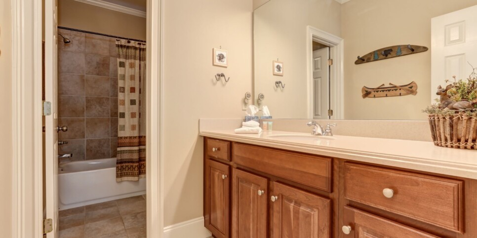 Big Canoe - Doctors Orders - Bathroom