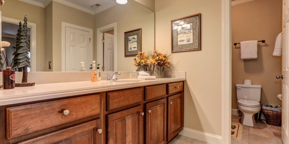 Big Canoe - Doctors Orders - Bathroom