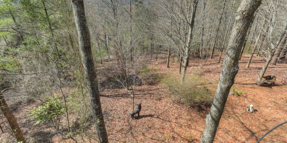 Big Canoe - Doctors Orders - Exterior