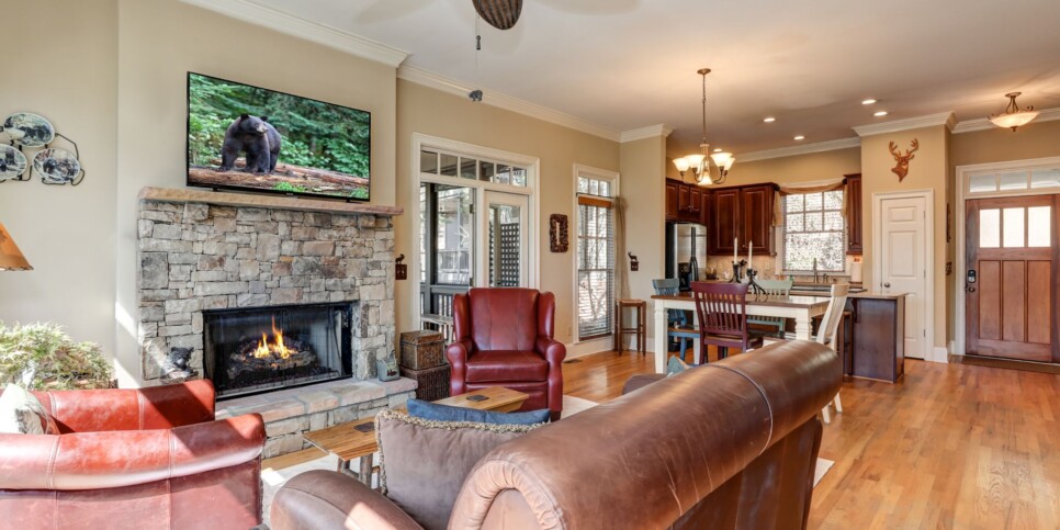 Big Canoe - Doctors Orders - Living Room