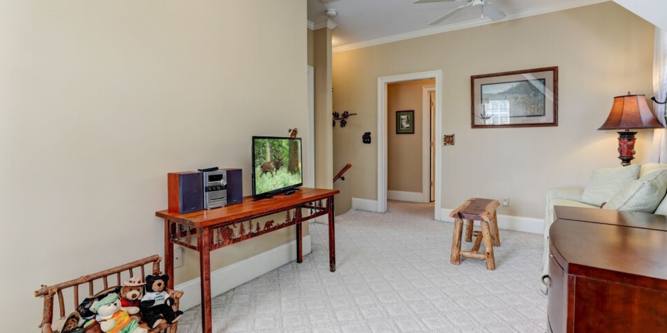 Big Canoe - Doctors Orders - Rec Room