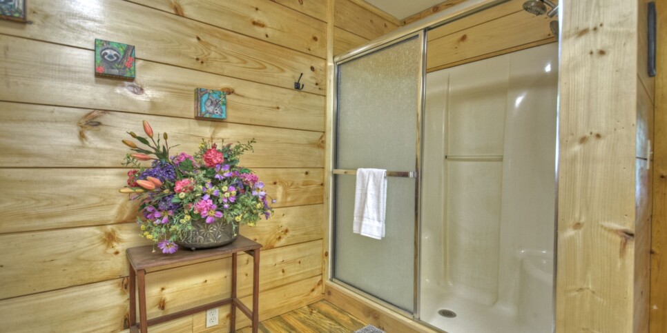 Blue Ridge Cabin - Bear Naked Hideaway - Bathroom