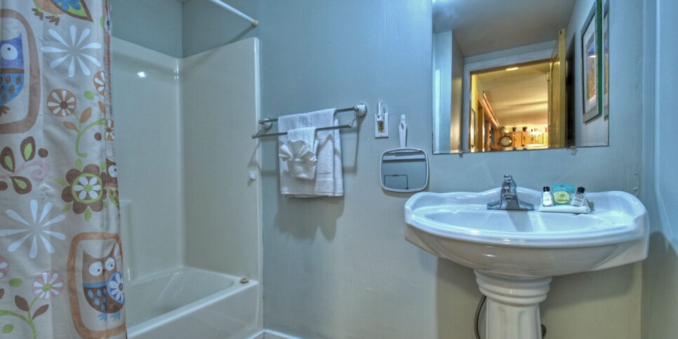 Blue Ridge Cabin - Bear Naked Hideaway - Bathroom