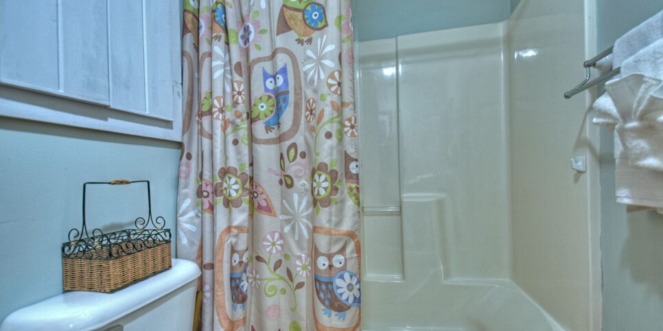 Blue Ridge Cabin - Bear Naked Hideaway - Bathroom