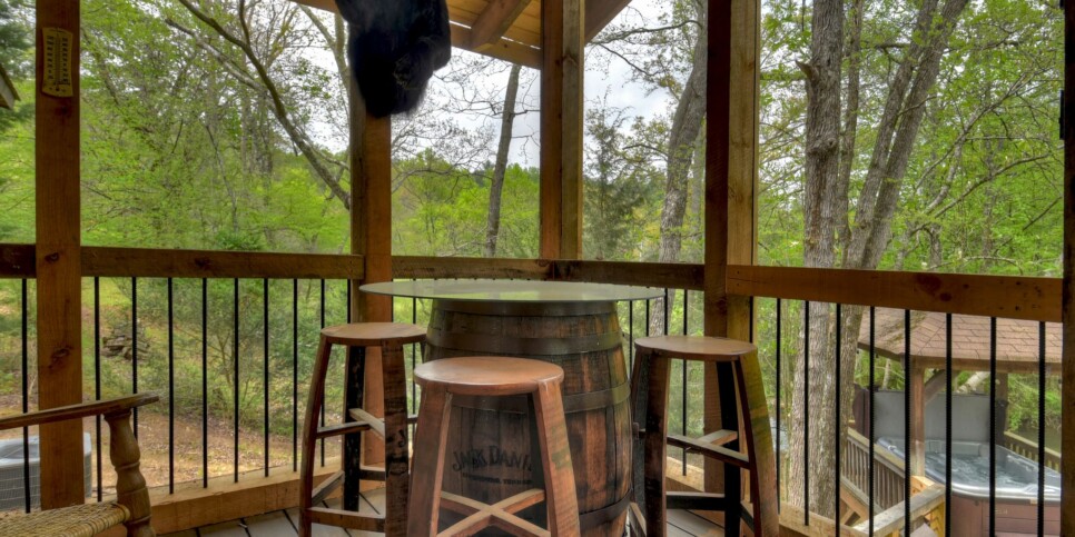 Blue Ridge Cabin - Bear Naked Hideaway - Exterior