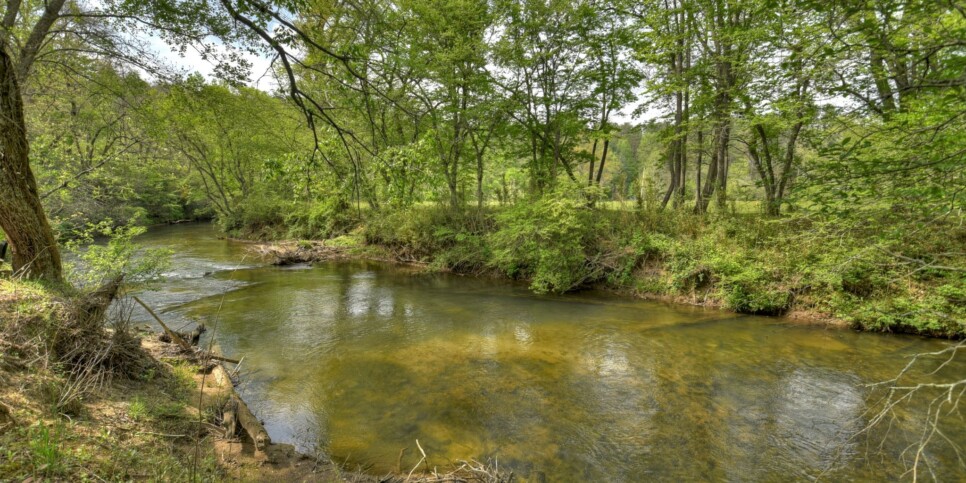 Blue Ridge Cabin - Bear Naked Hideaway - Exterior