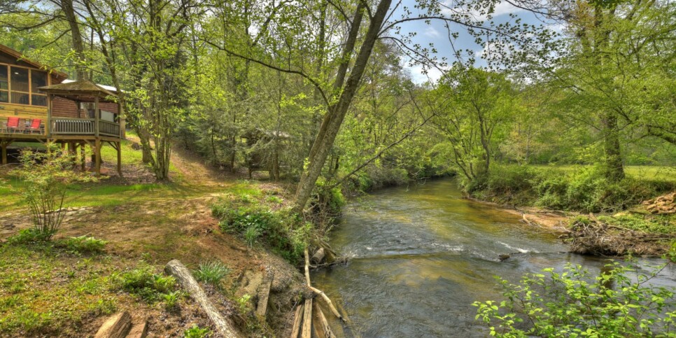 Blue Ridge Cabin - Bear Naked Hideaway - Exterior