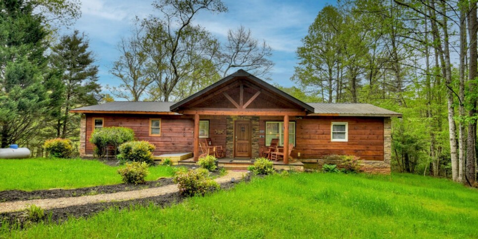 Blue Ridge Cabin - Bear Naked Hideaway - Exterior