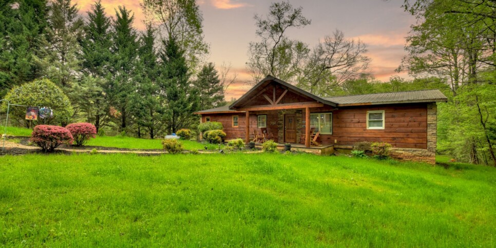 Blue Ridge Cabin - Bear Naked Hideaway - Exterior