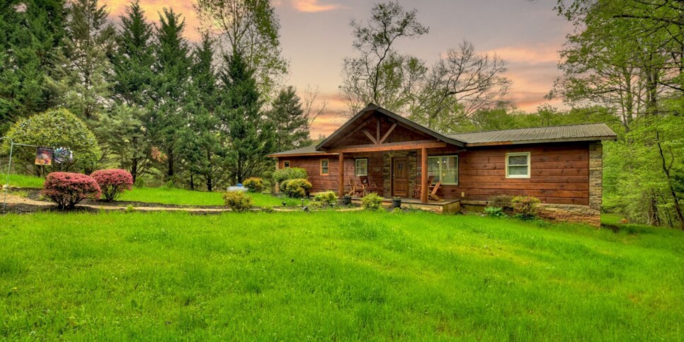 Blue Ridge Cabin - Bear Naked Hideaway - Exterior