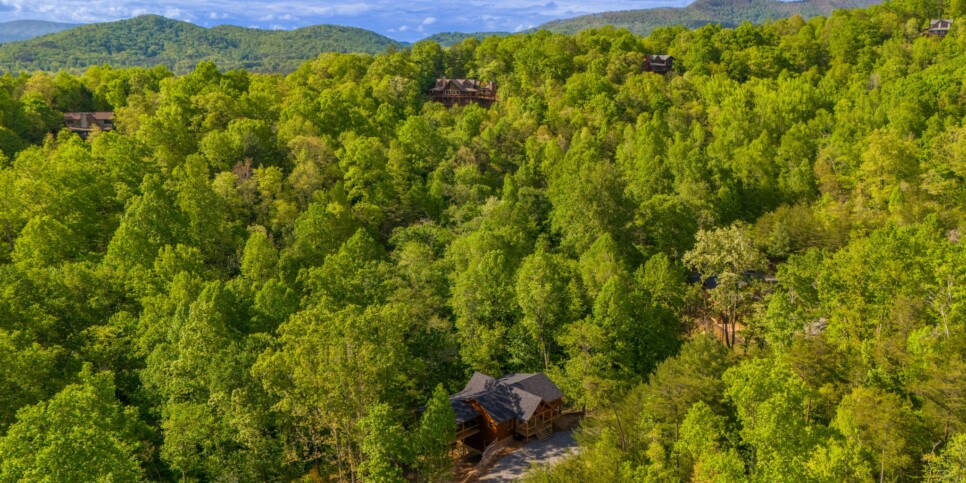 Blue Ridge - Whiskey & Woods - Exterior