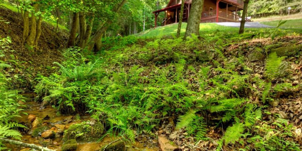 Cherry Log - Cherry Creek Retreat - Exterior