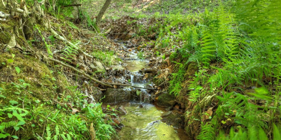 Cherry Log - Cherry Creek Retreat - Exterior