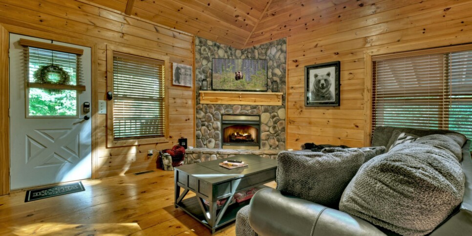 Cherry Log - Cherry Creek Retreat - Living Room