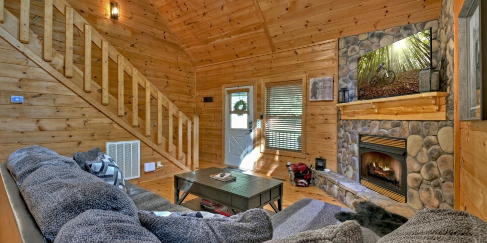 Cherry Log - Cherry Creek Retreat - Living Room