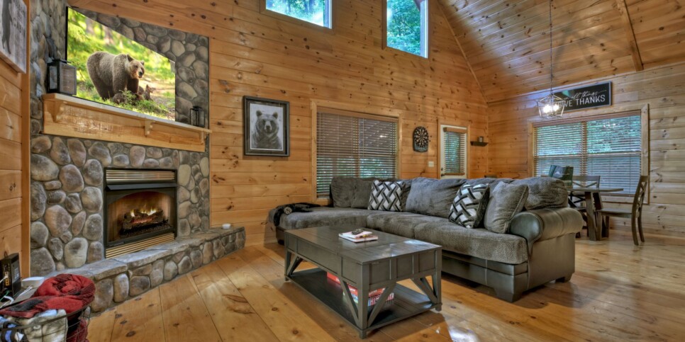 Cherry Log - Cherry Creek Retreat - Living Room