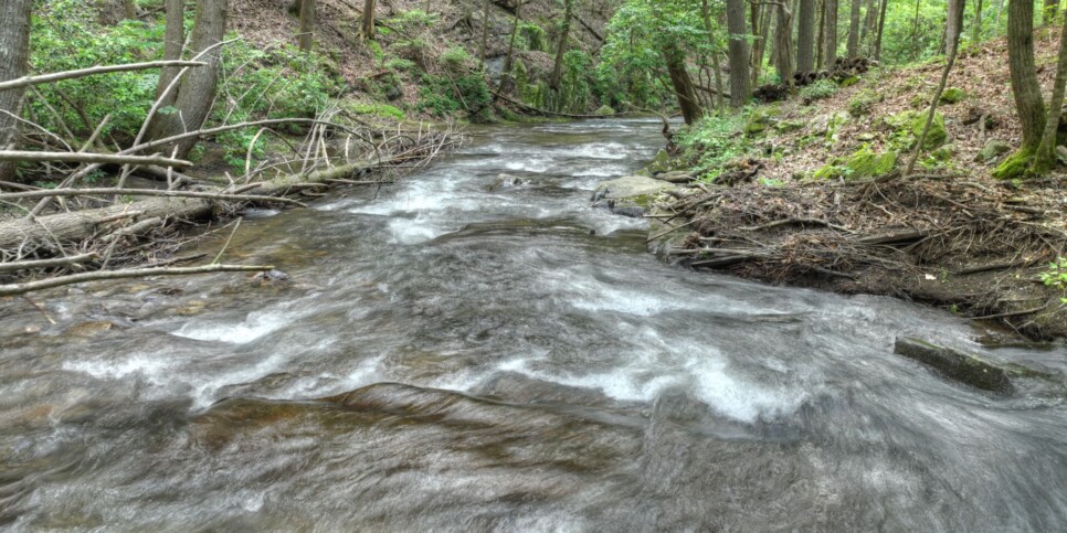 Ellijay - Streams and Daydreams - Exterior
