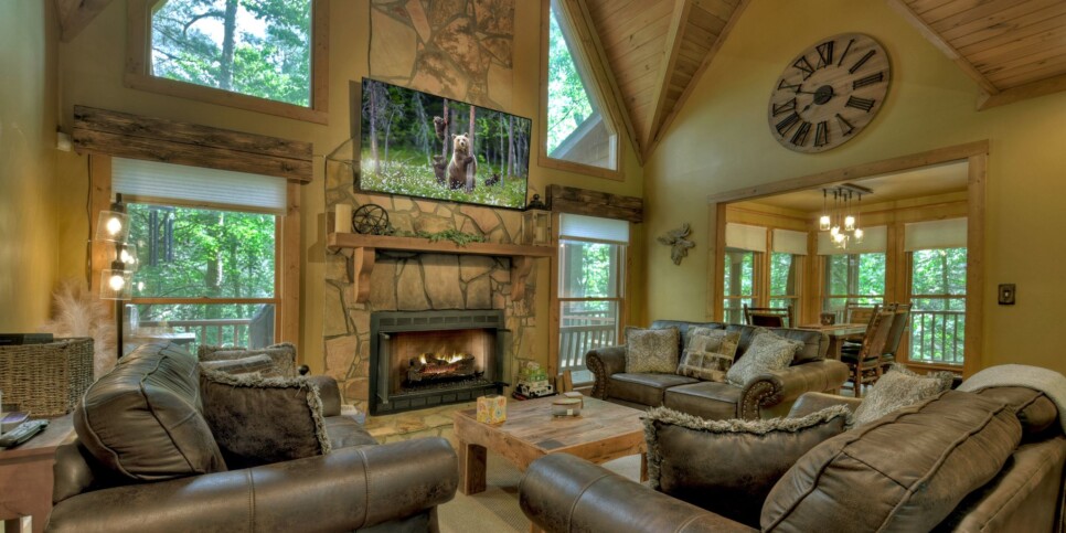 Ellijay - Streams and Daydreams - Living Room