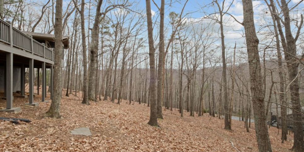 Big Canoe - Home Sweet Gnome - Temp Photos