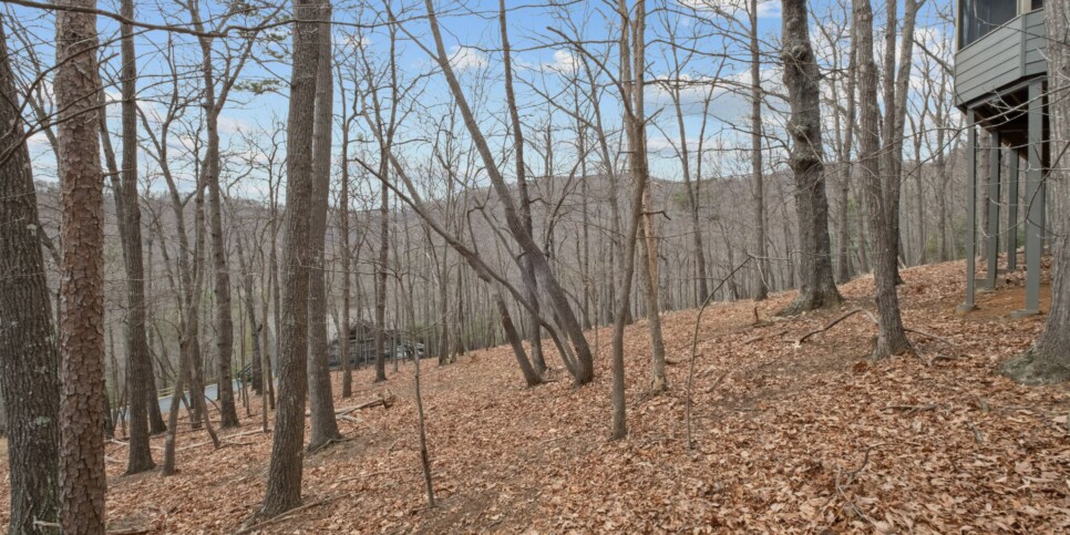 Big Canoe - Home Sweet Gnome - Temp Photos