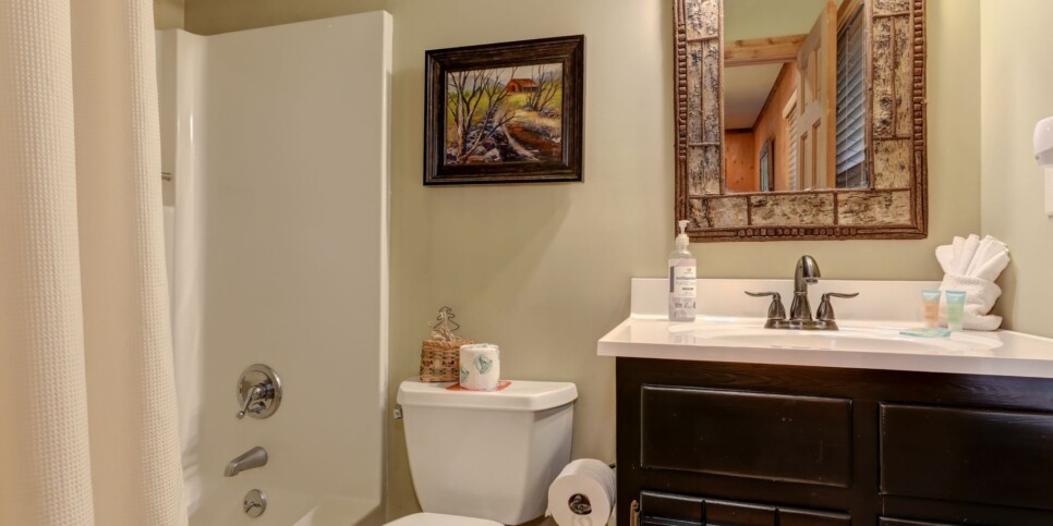 Big Canoe - Plummer Lodge - Bathroom