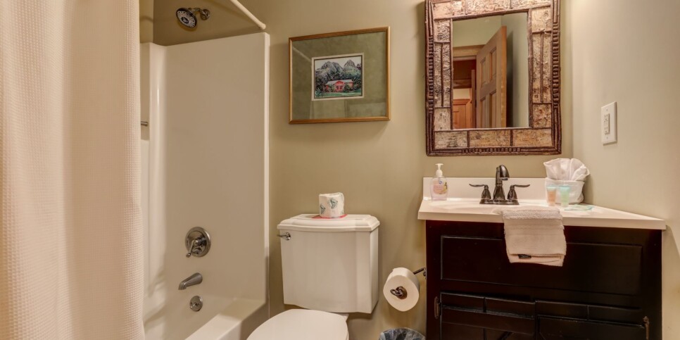 Big Canoe - Plummer Lodge - Bathroom