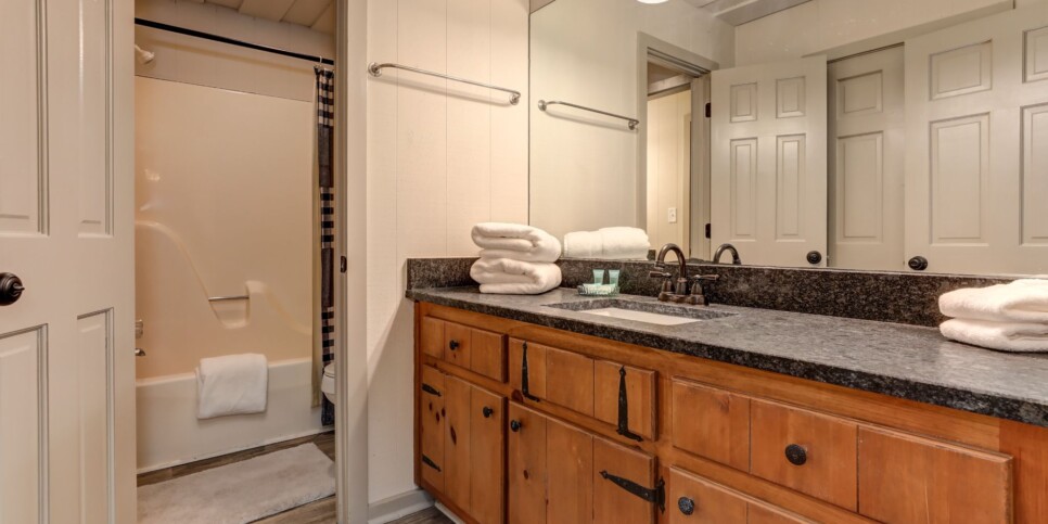 Big Canoe - Timber Lodge - Bathroom