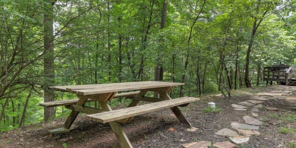 Big Canoe - Timber Lodge - Exterior