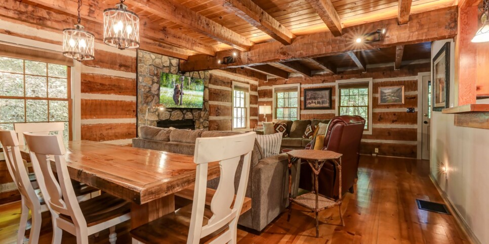 Big Canoe - Timber Lodge - Kitchen