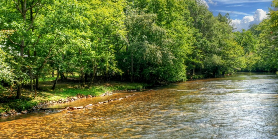 Blue Ridge - Aska River House - Exterior