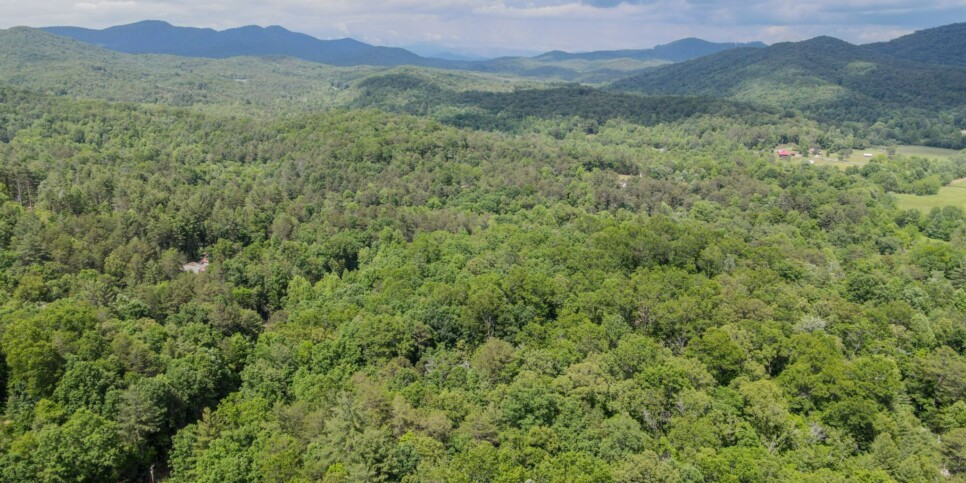 Blue Ridge - Snowbird Sanctuary - Exterior