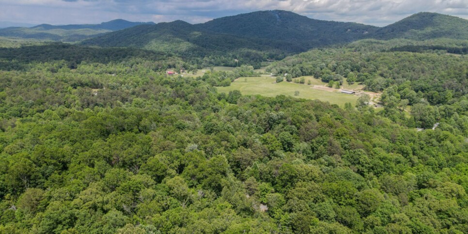 Blue Ridge - Snowbird Sanctuary - Exterior