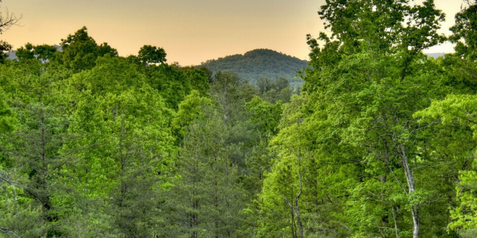 Blue Ridge - Snowbird Sanctuary - Exterior