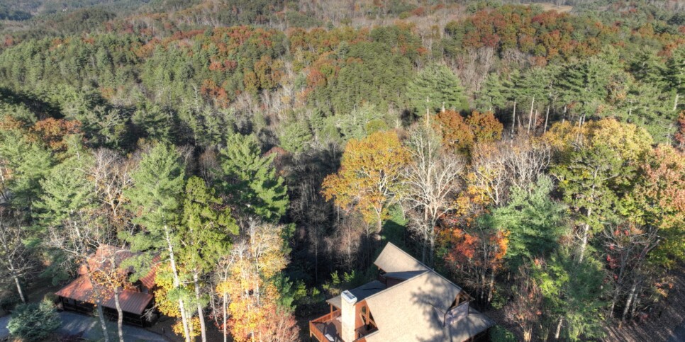Cherry Log Cabin - Moonlight Mountain Cabin - Exterior