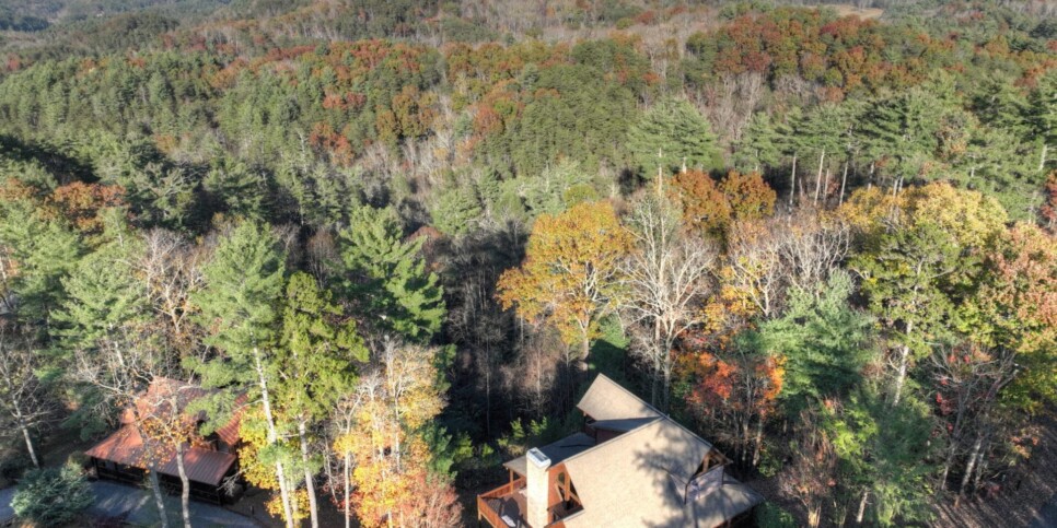 Cherry Log Cabin - Moonlight Mountain Cabin - Exterior