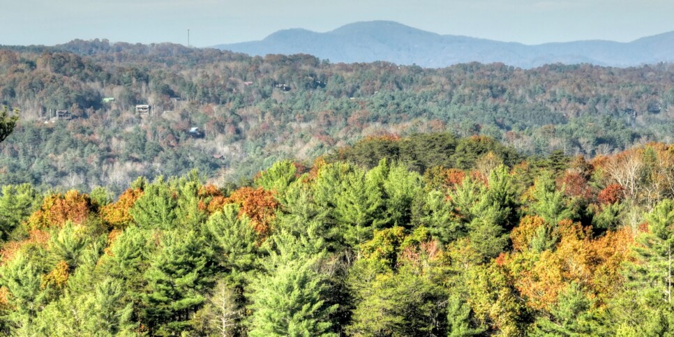 Cherry Log Cabin - Moonlight Mountain Cabin - Exterior