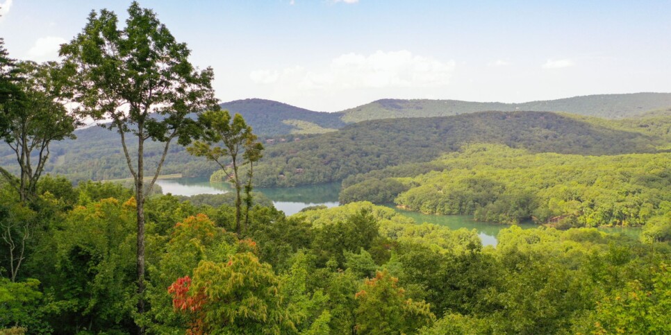 Big Canoe - Mountain Manor - Exterior