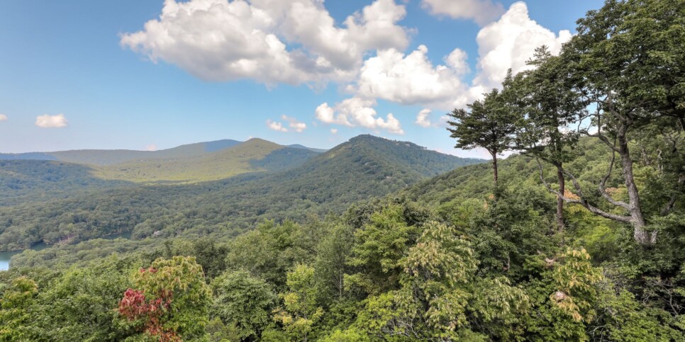 Big Canoe - Mountain Manor - Exterior