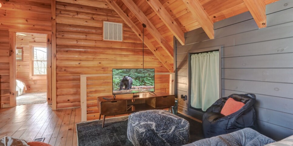 Big Canoe - Resting Retreat - Rec Room