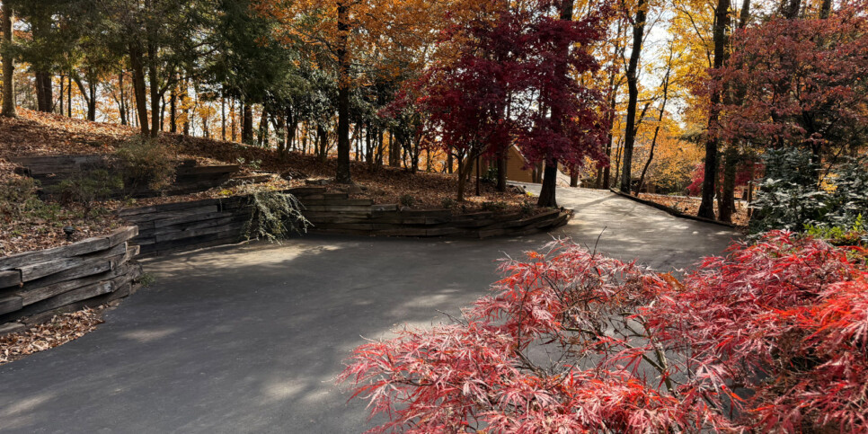 Big Canoe Starry Night Exterior