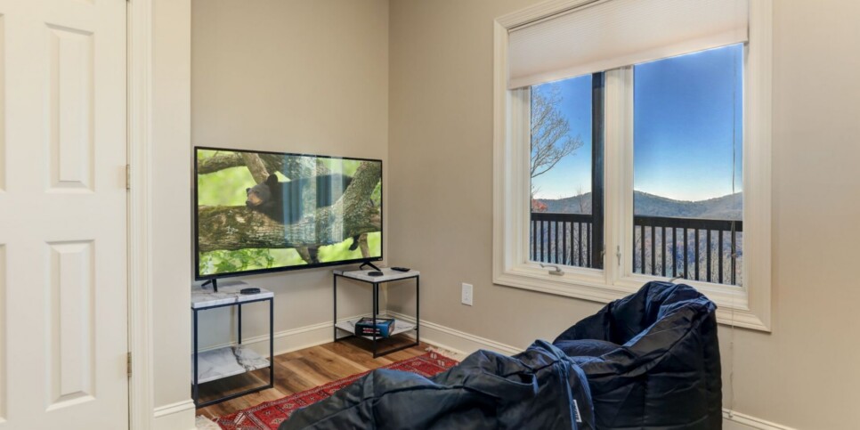 Big Canoe Rental - Starry Nights - Rec Room