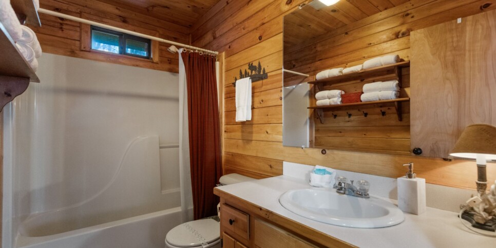 Ellijay Cabin - Deer Crossing - Bathroom
