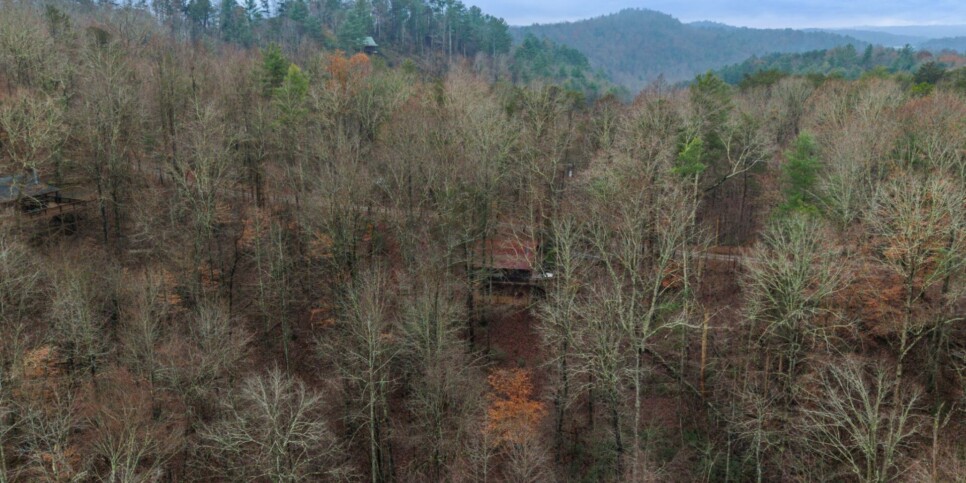 Ellijay Cabin - Deer Crossing - Exterior
