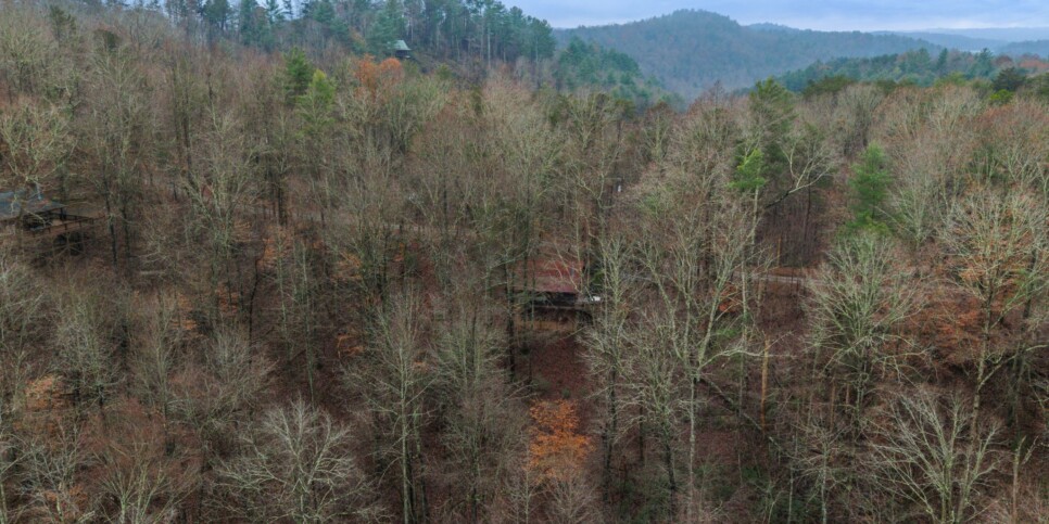 Ellijay Cabin - Deer Crossing - Exterior