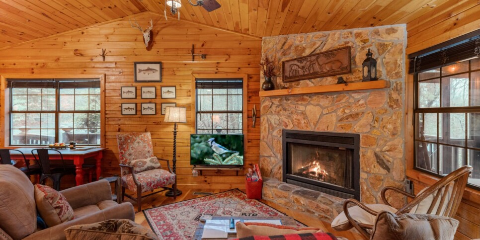 Ellijay Cabin - Deer Crossing - Living Room