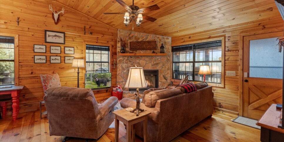 Ellijay Cabin - Deer Crossing - Living Room