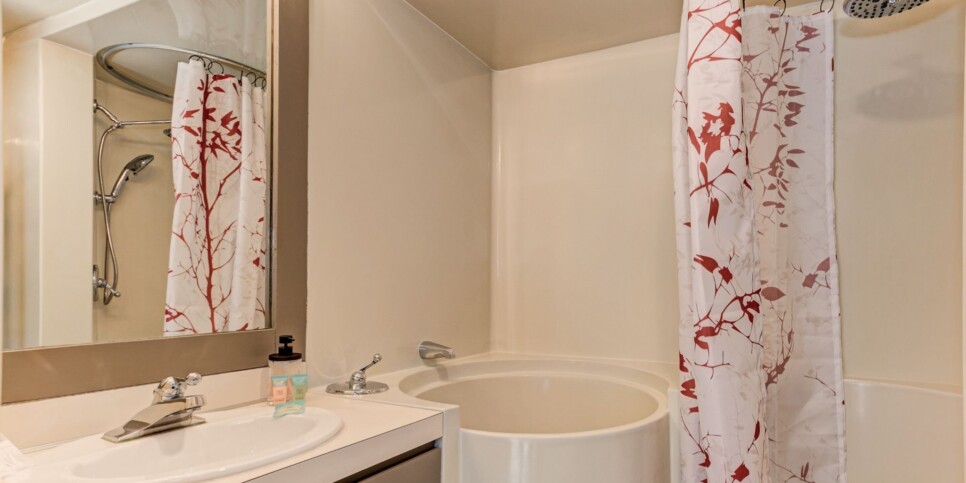 Big Canoe - Treehouse of Life - Bathroom