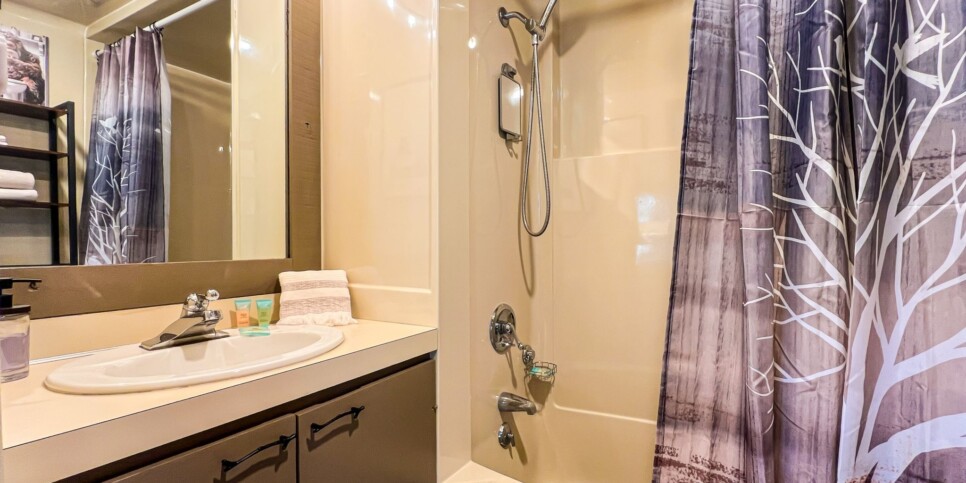 Big Canoe - Treehouse of Life - Bathroom