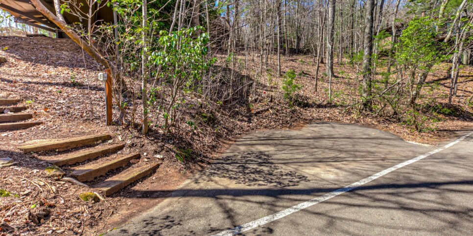 Big Canoe - Treehouse of Life - Exterior